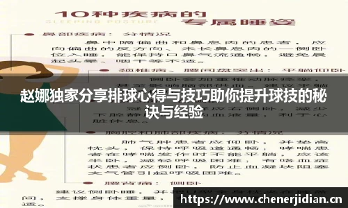 赵娜独家分享排球心得与技巧助你提升球技的秘诀与经验