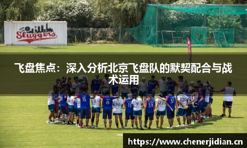 飞盘焦点：深入分析北京飞盘队的默契配合与战术运用