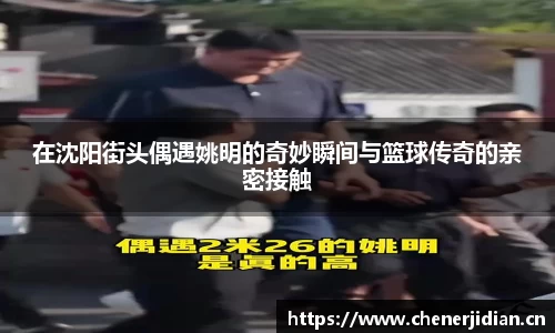 在沈阳街头偶遇姚明的奇妙瞬间与篮球传奇的亲密接触
