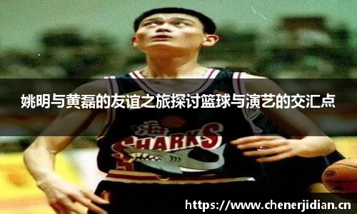 姚明与黄磊的友谊之旅探讨篮球与演艺的交汇点